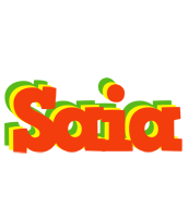 Saia bbq logo