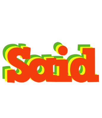 Said bbq logo