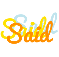 Said energy logo
