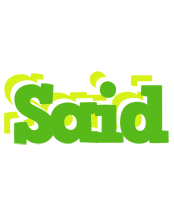 Said picnic logo