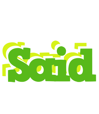 Said picnic logo