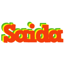 Saida bbq logo