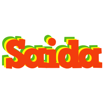 Saida bbq logo