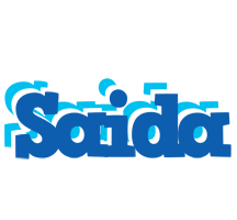 Saida business logo