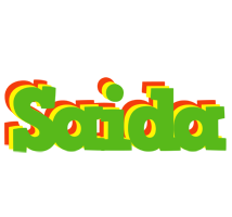 Saida crocodile logo