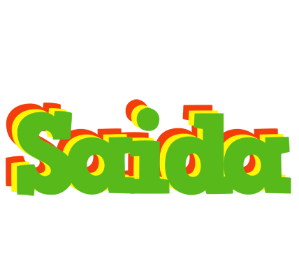 Saida crocodile logo