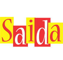 Saida errors logo