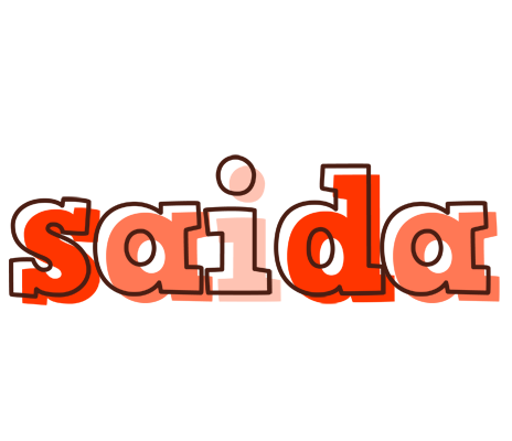 Saida paint logo