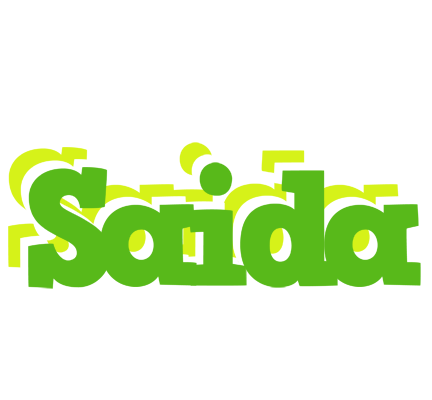 Saida picnic logo