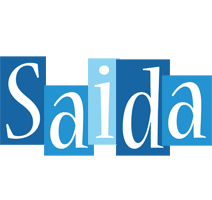 Saida winter logo