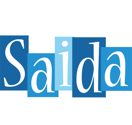 Saida winter logo