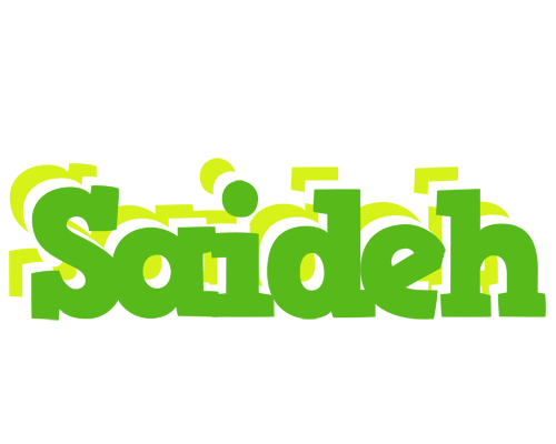 Saideh picnic logo