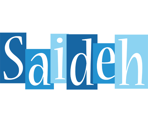 Saideh winter logo