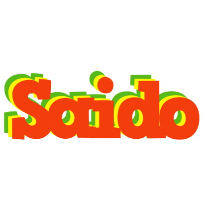 Saido bbq logo