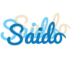 Saido breeze logo