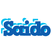 Saido business logo