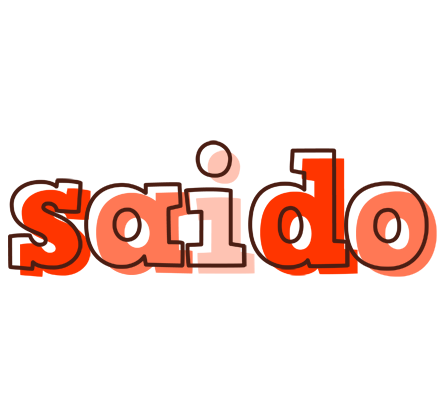 Saido paint logo