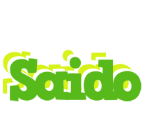 Saido picnic logo