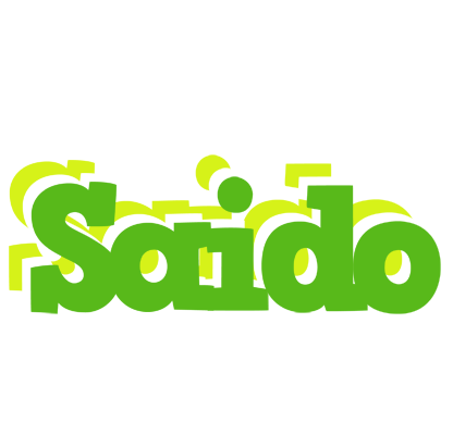 Saido picnic logo