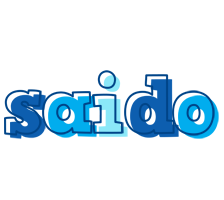 Saido sailor logo