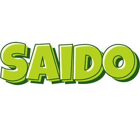 Saido summer logo