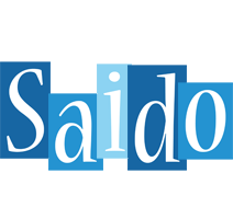 Saido winter logo