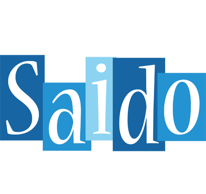 Saido winter logo