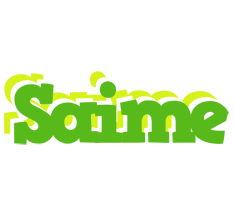 Saime picnic logo