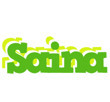 Saina picnic logo
