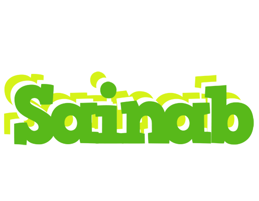 Sainab picnic logo