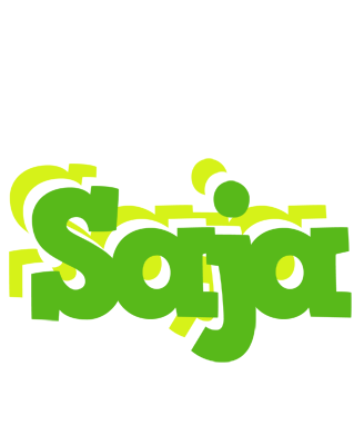 Saja picnic logo