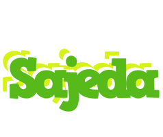 Sajeda picnic logo