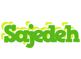 Sajedeh picnic logo