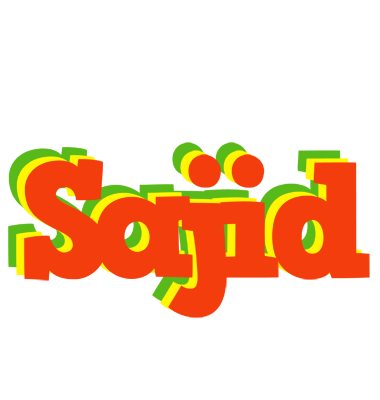 Sajid bbq logo
