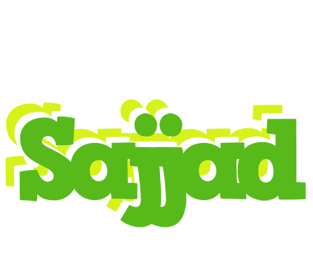Sajjad picnic logo