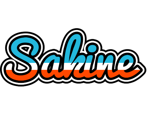 Sakine america logo