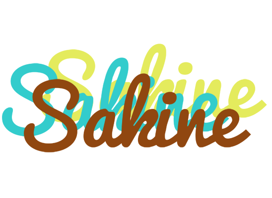 Sakine cupcake logo