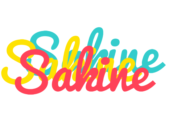 Sakine disco logo