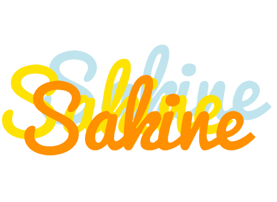 Sakine energy logo