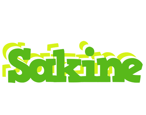Sakine picnic logo