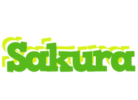 Sakura picnic logo