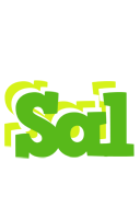 Sal picnic logo