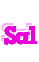 Sal rumba logo