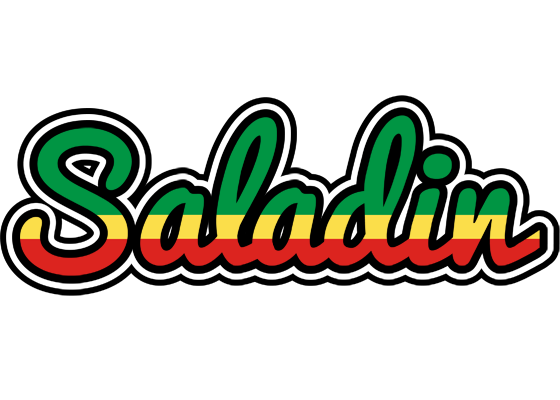 Saladin african logo