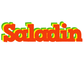 Saladin bbq logo