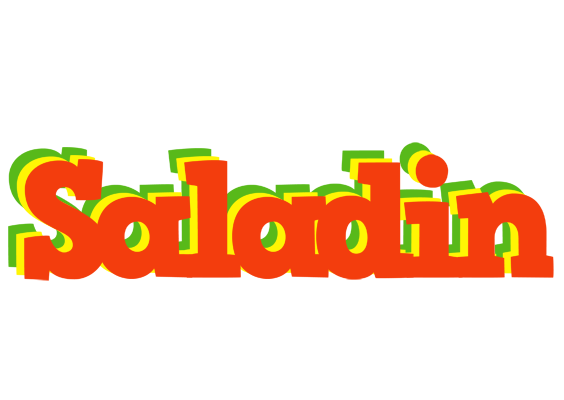 Saladin bbq logo