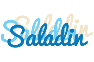 Saladin breeze logo