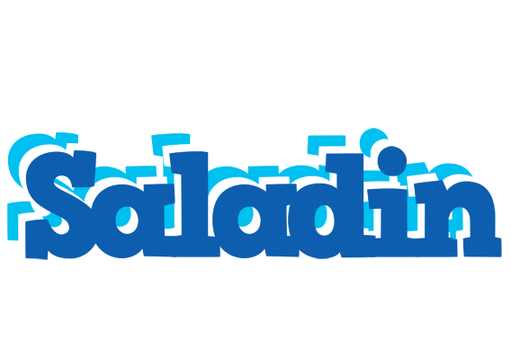 Saladin business logo