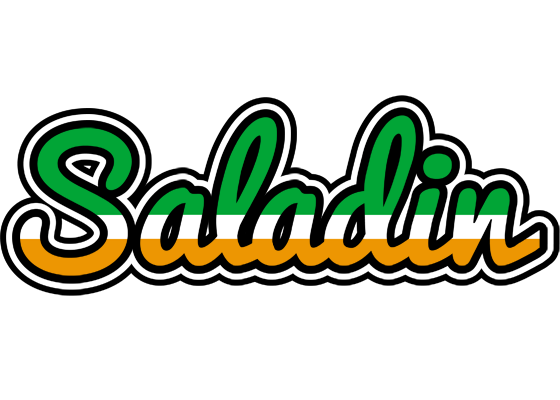 Saladin ireland logo