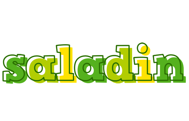 Saladin juice logo